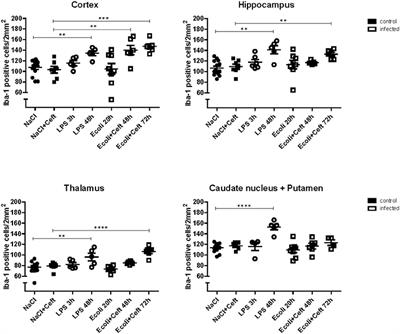 Microglial Activation After Systemic Stimulation With Lipopolysaccharide and Escherichia coli